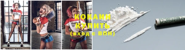 ПСИЛОЦИБИНОВЫЕ ГРИБЫ Алексеевка