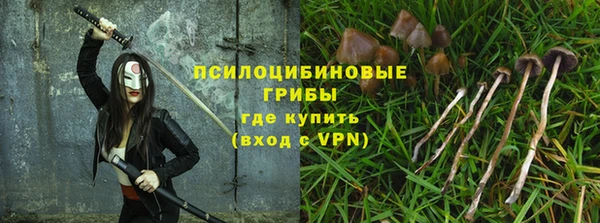соль ск Алексин