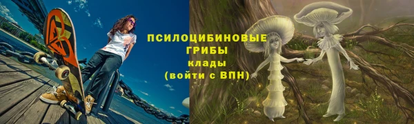 ПСИЛОЦИБИНОВЫЕ ГРИБЫ Алексеевка