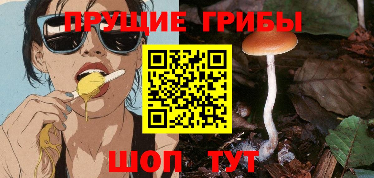 Псилоцибиновые грибы мухоморы  Вход с VPN  Туймазы 